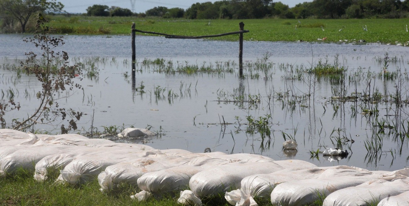 Sobre la COP 28: "El cambio tiene que ser cultural y va a llevar muchísimo tiempo"