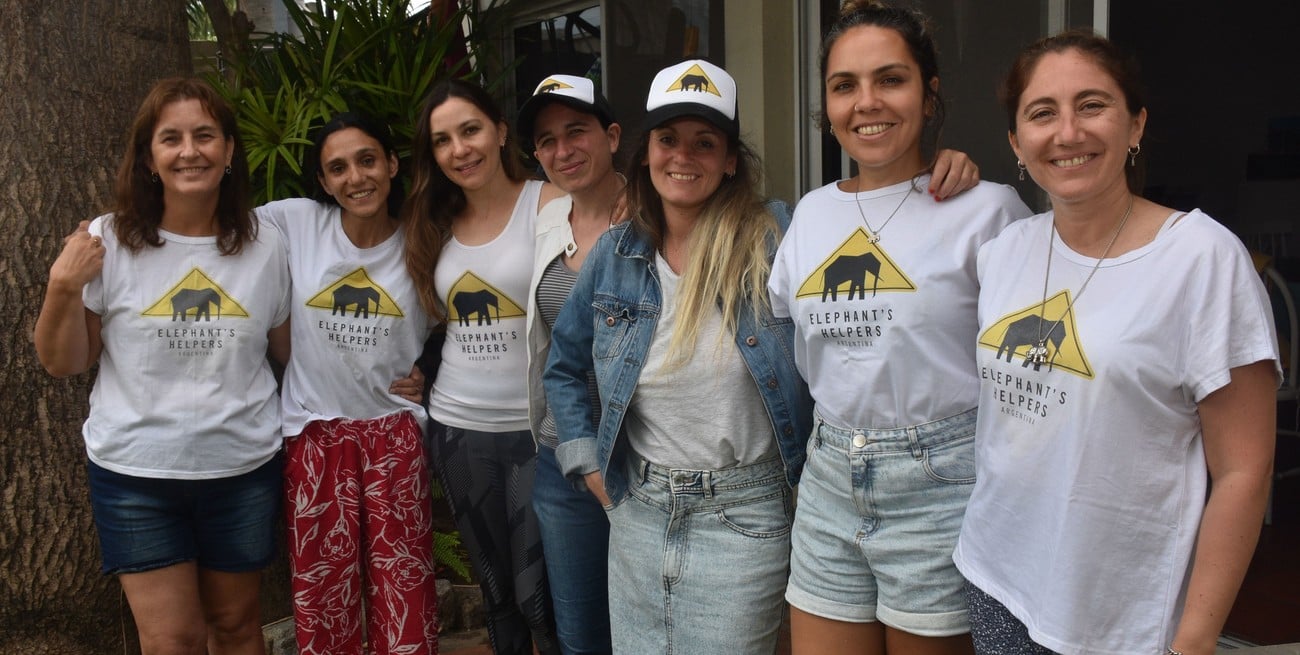 Elefantes: prácticas de sometimiento y la cruel 
realidad  que pocos conocen para que sean sociables