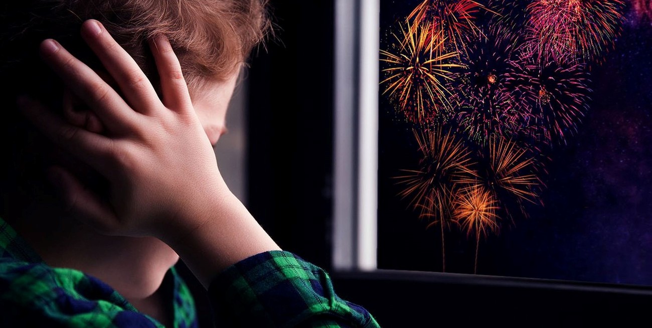 Santa Fe: uno por uno, los motivos por los que no hay que tirar cohetes en las fiestas