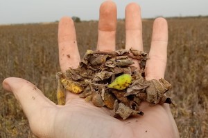 En el 2023 la única certeza para el campo fue la incertidumbre