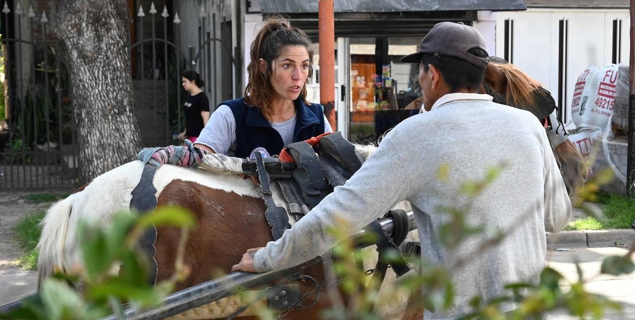 Un municipio santafesino inició el proceso de eliminación paulatina de vehículos de tracción a sangre