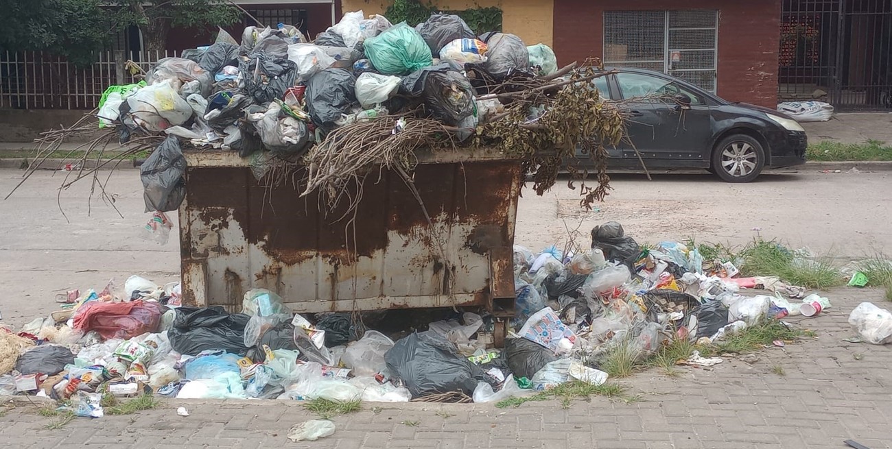 Barrio Las Flores II tiene su “Basurito” de Navidad