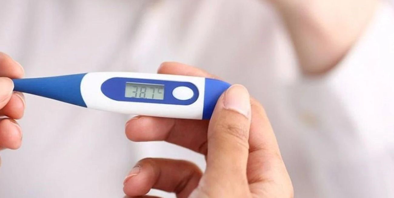 Un hombre falleció en Rosario por Fiebre Hemorrágica Argentina y recomendaron vacunarse