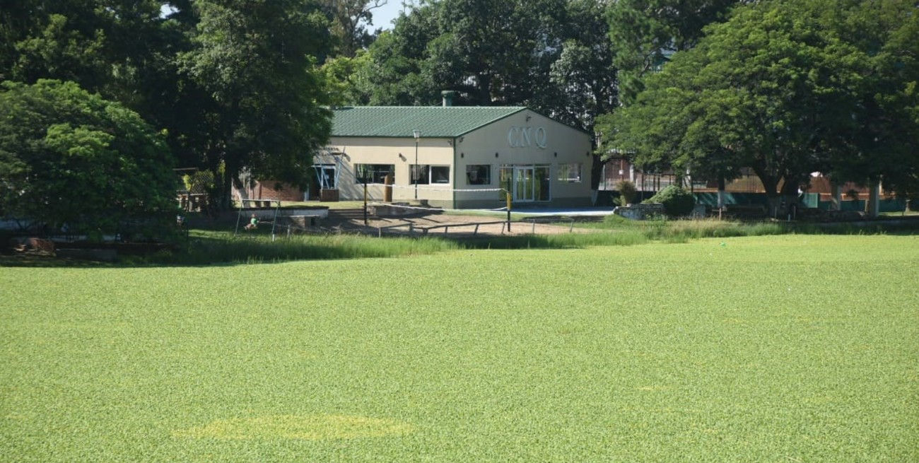 Repollitos 1 – Municipalidad 0: la vegetación acuática del lago del Sur se tornó incontrolable