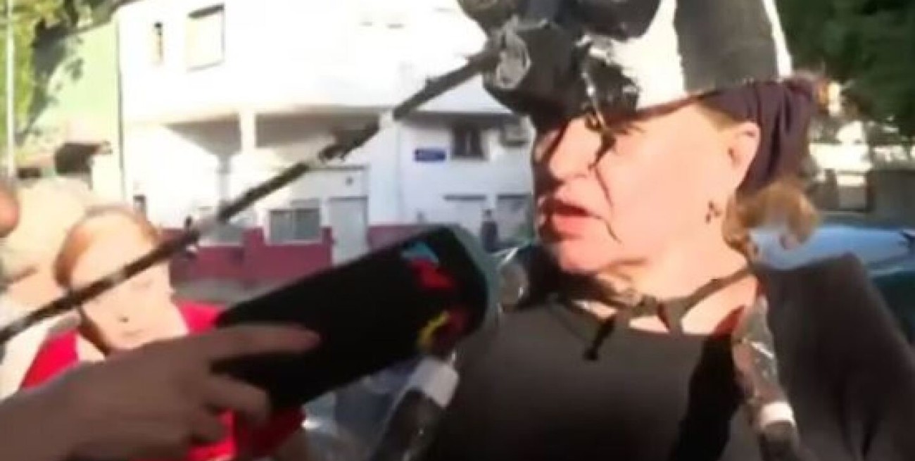 Insólito: en Buenos Aires crearon una brigada "cazamosquistos"