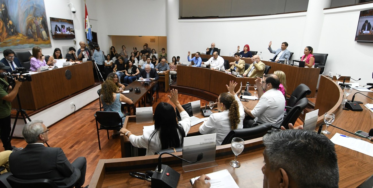 Concejo: firme oposición al DNU de Milei y conformación del Órgano de Transporte