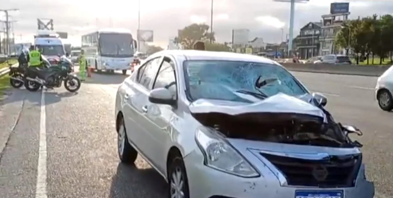 Un hombre murió atropellado al querer cruzar caminando Panamericana