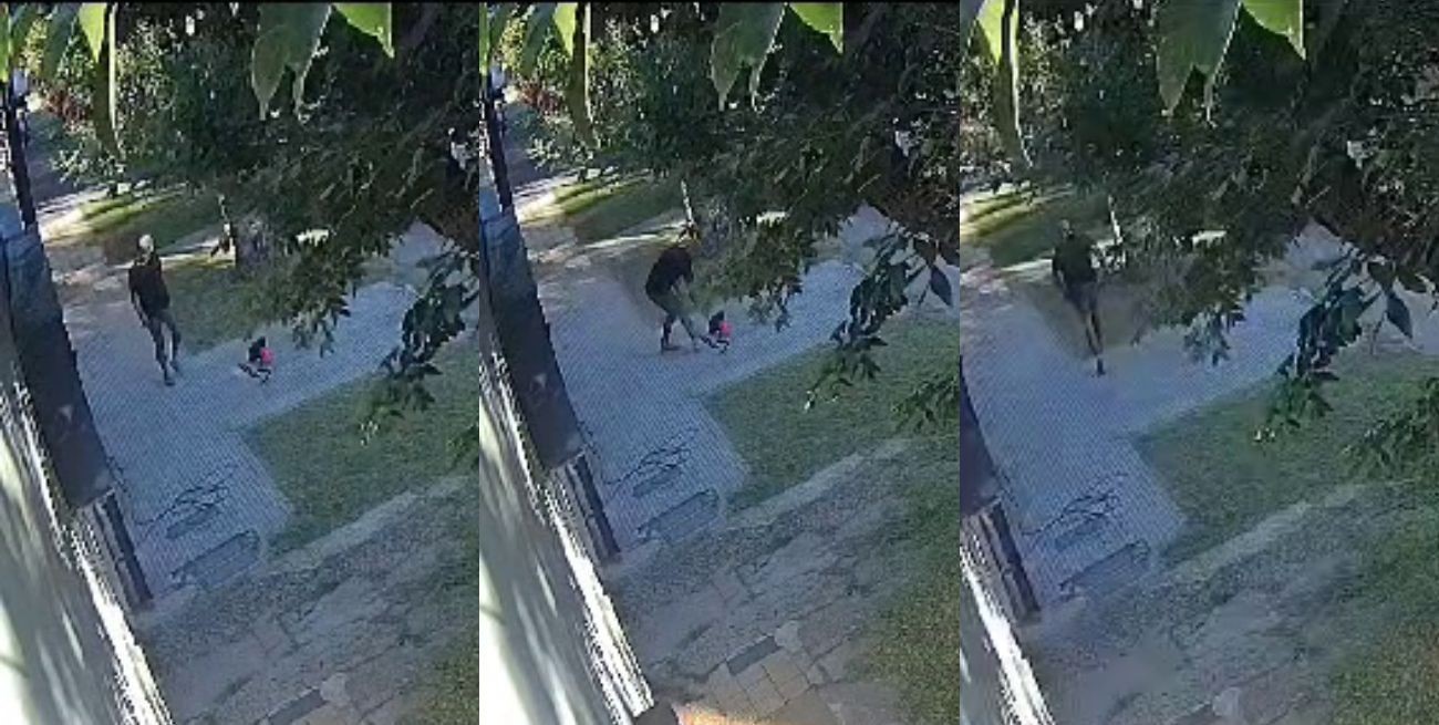 Santa Fe: cortaba el pasto de la vereda de su casa cuando le robaron la motoguadaña