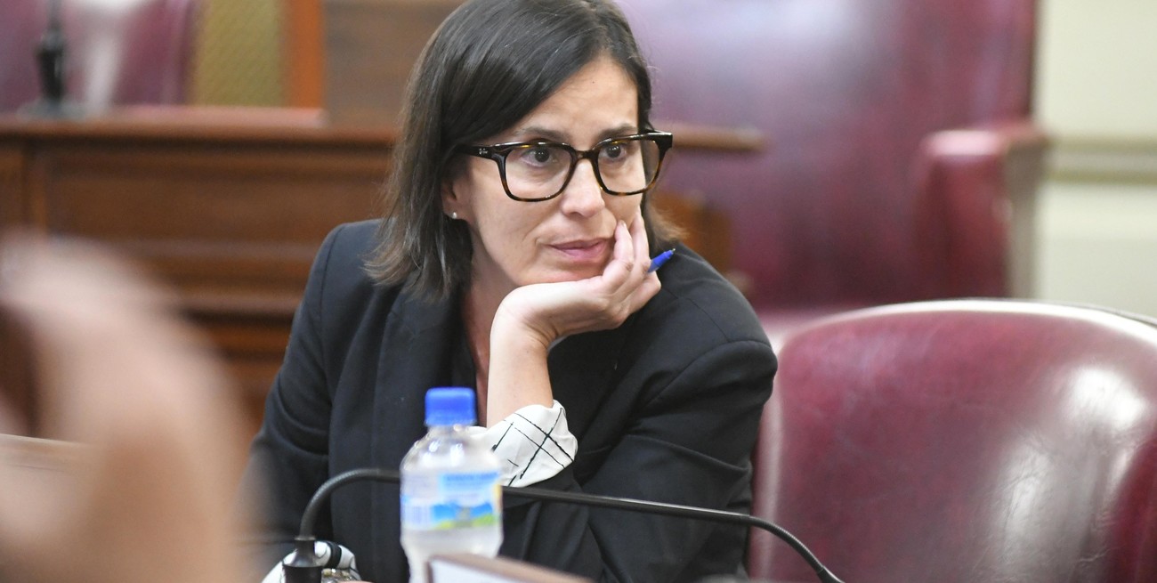 Políticas de Milei con respaldo en Diputados de Santa Fe