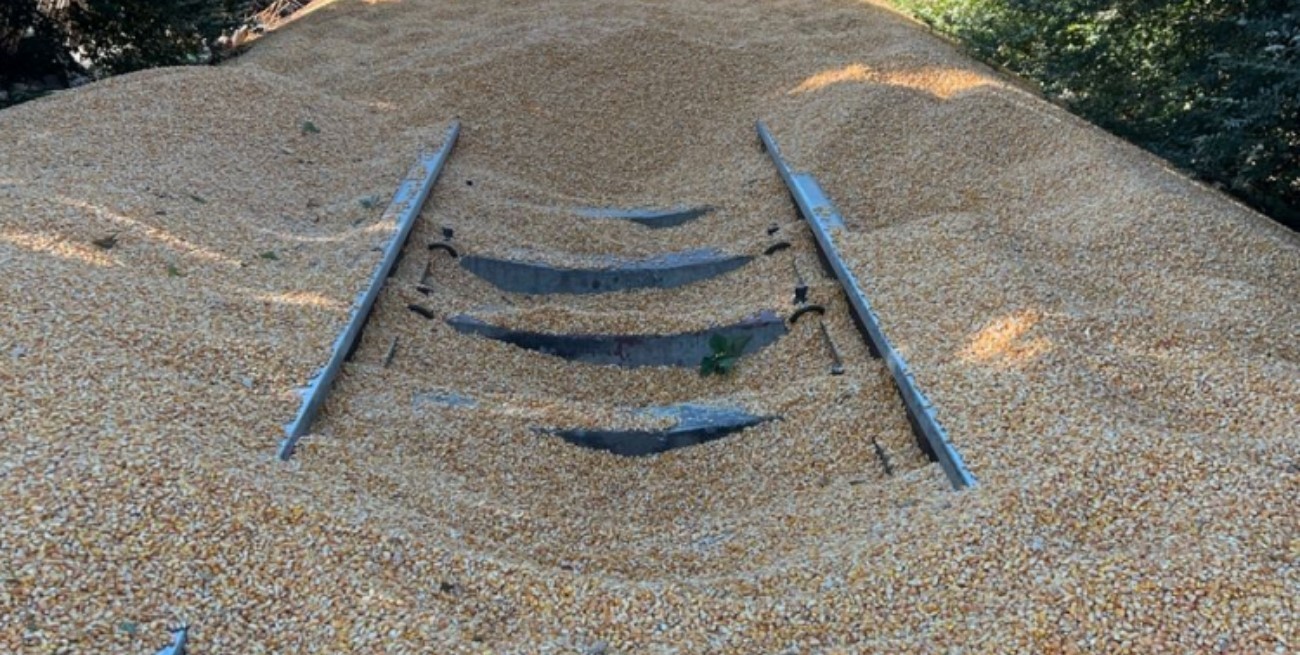 En Coronda la proliferación del hurto de cereales trajo aparejado un grave problema ambiental