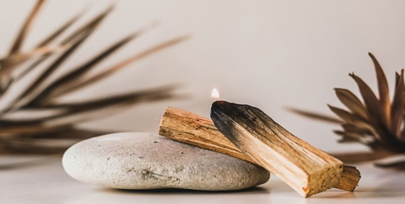 ¿Dónde encender palo santo  para purificar tu espacio?