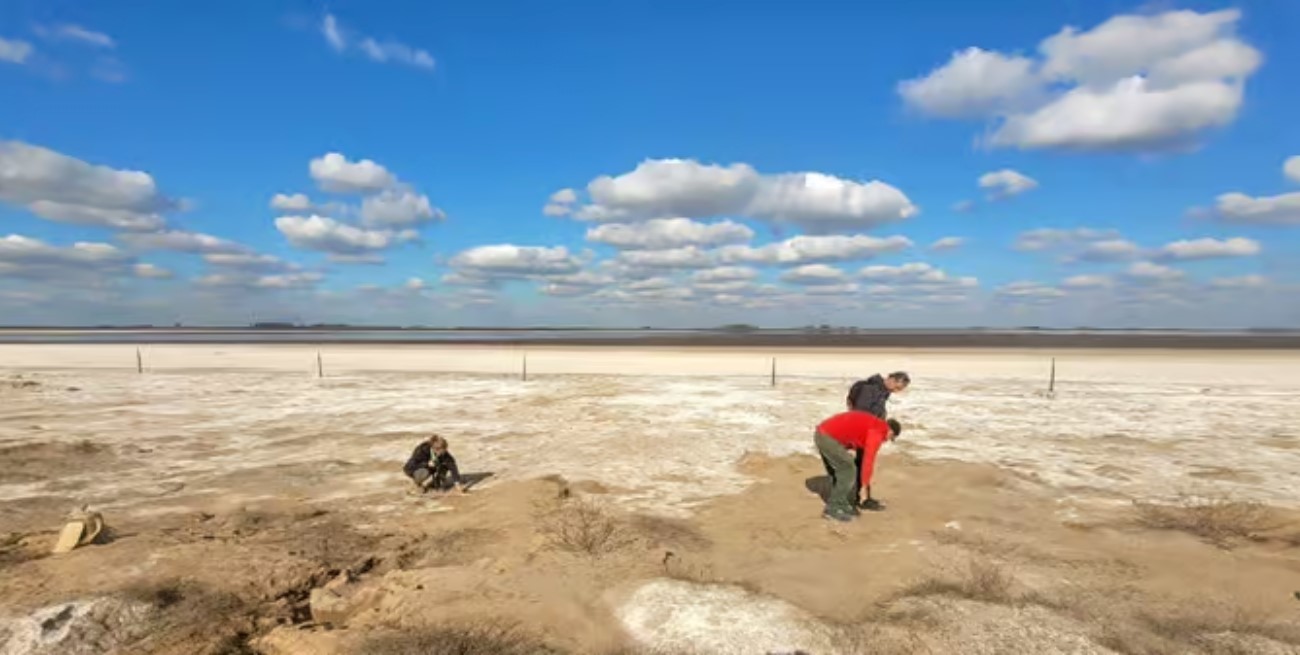 Realizarán una nueva investigación arqueológica en el sur santafesino