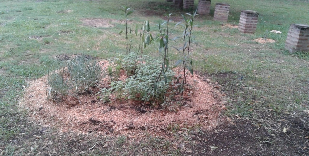 El renacimiento del Jardín República del Líbano