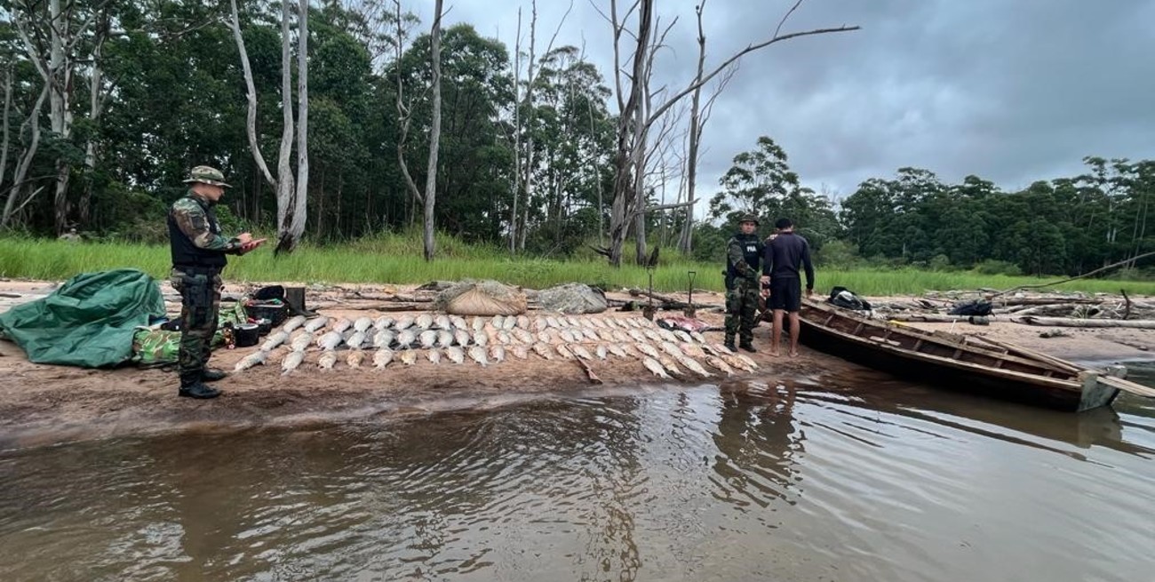 Seguridad secuestró 300 kilos de pescado en el operativo "Pasión de Sábalo"