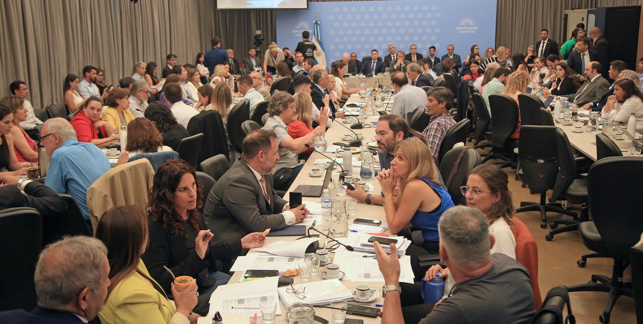 En el Congreso: el turno de la sociedad civil en el debate de la "Ley Ómnibus"