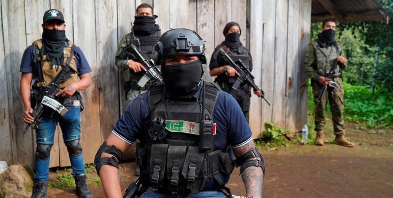 Narcotráfico en Latinoamérica: un "ecosistema" criminal