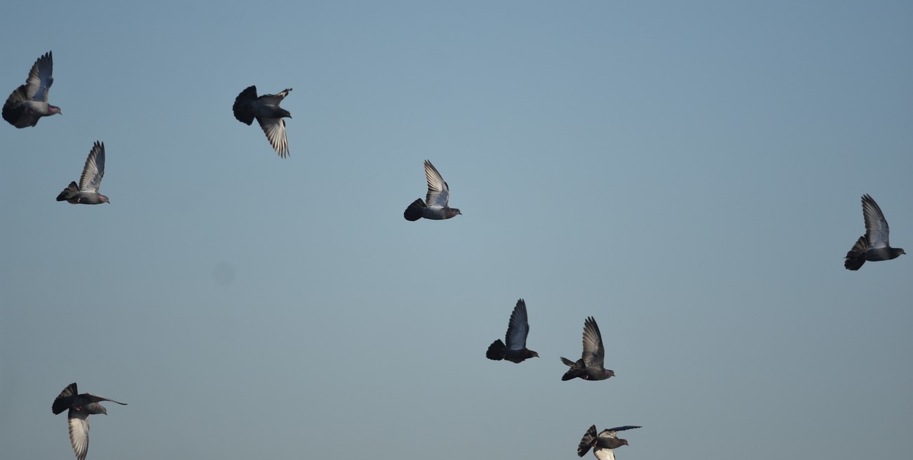 Línea directa y llegan cartas