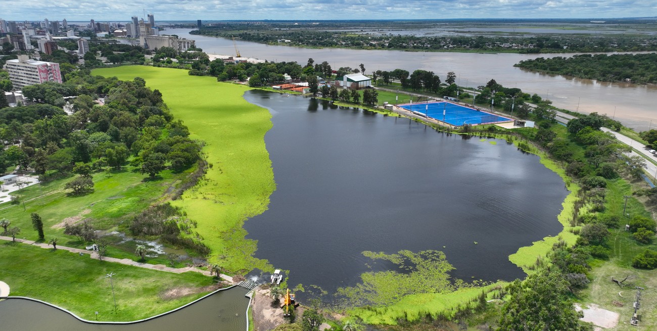 Repollitos: la cosechadora acuática, clave en la recuperación del lago del Sur