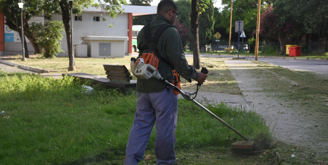 Plan de desmalezamiento en la ciudad de Santa Fe: ¿Qué áreas serán intervenidas esta semana?