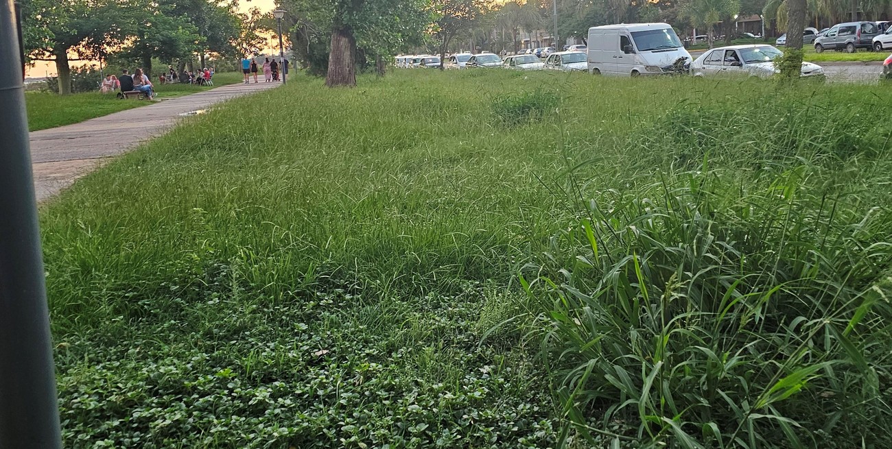 Línea directa y llegan cartas