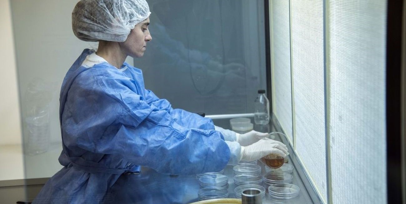 El LEM comenzó a producir carbonato de calcio para prevenir la preeclampsia