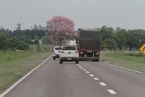 La ocasión fue propicia para revisar documentación, recorrer el lugar donde se propone la traza de la futura vía de comunicación y establecer los pasos a seguir para lograr el objetivo.
Foto:  Archivo