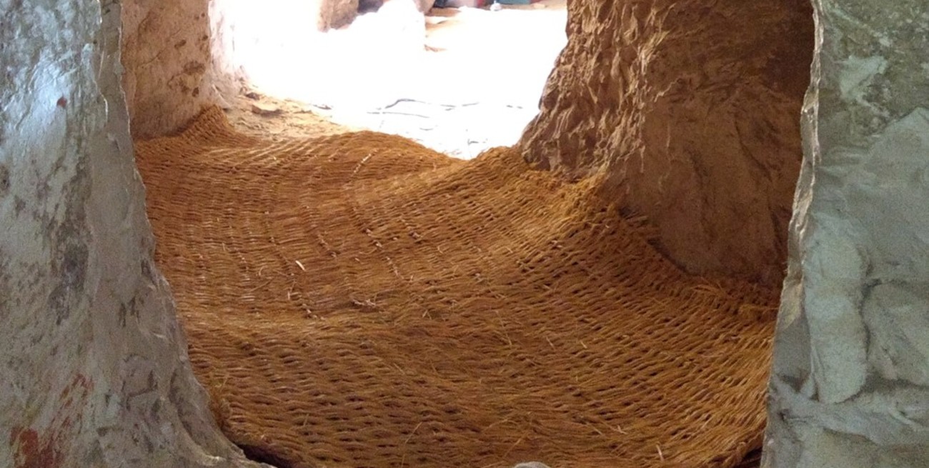 Arqueólogos argentinos participaron de un histórico hallazgo en Egipto