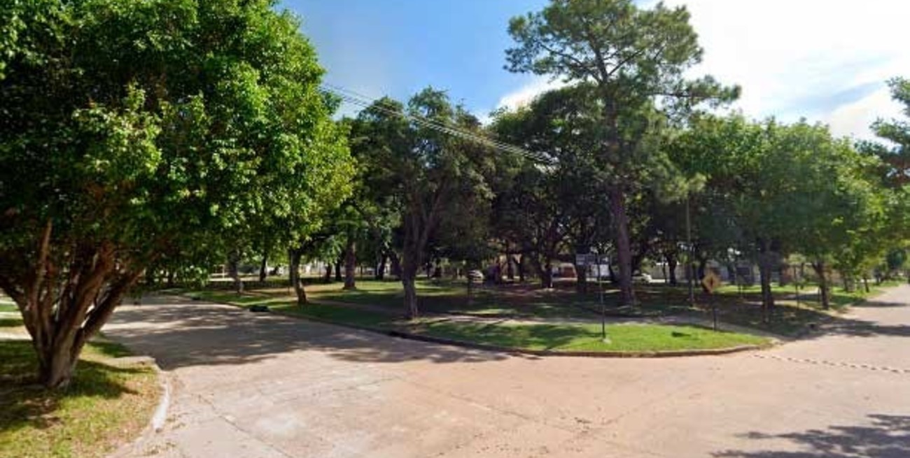 Una familia vive jaqueada por ladrones en barrio Los Hornos

