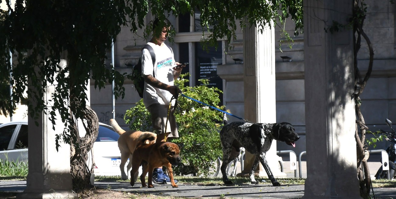 Sigue el alerta por calor: pronóstico de este lunes en la ciudad de Santa Fe