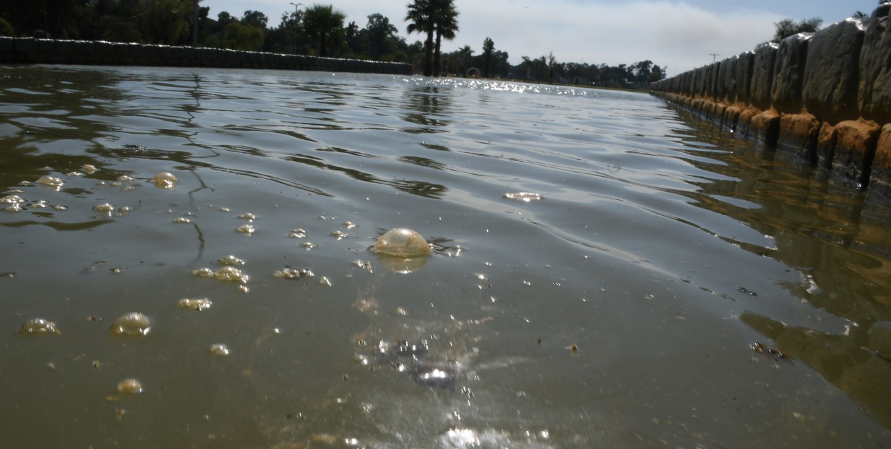 Parque del Sur: unas 2 mil personas van por día  y no hay baños ni funcionan los bebederos