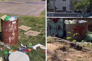 La basura desparramada en este espacio público santafesino.