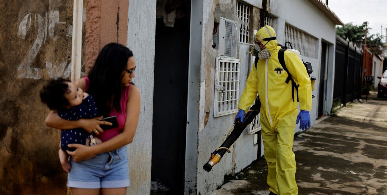 Alerta por dengue en Brasil: se registraron 365 mil casos y más de 40 muertes