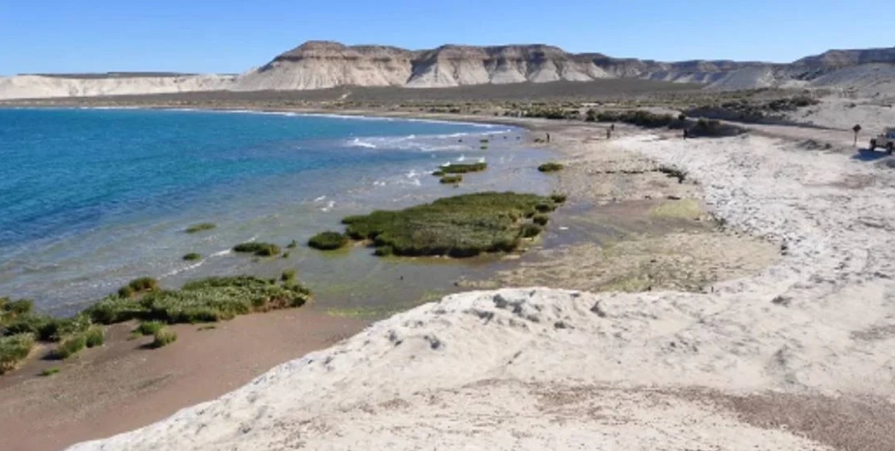 Investigan la aparición de restos óseos en una playa de Chubut 