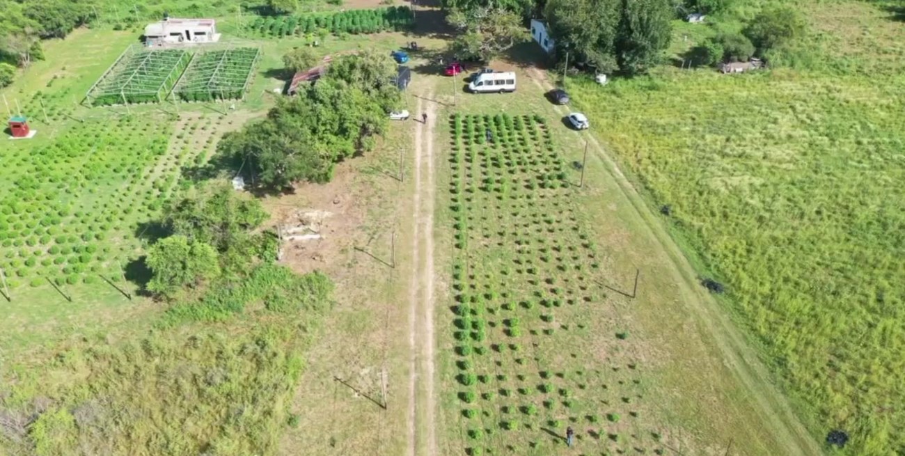 Caso "Cachiporri": se presentó ante la Justicia el titular del campo allanado en Arroyo Leyes