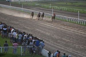 Crédito: Luis Cetraro