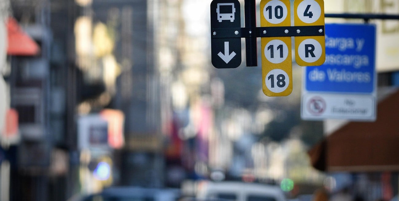 Paro de colectivos: ¿cuáles son las líneas que no circulan y cuáles sí?
