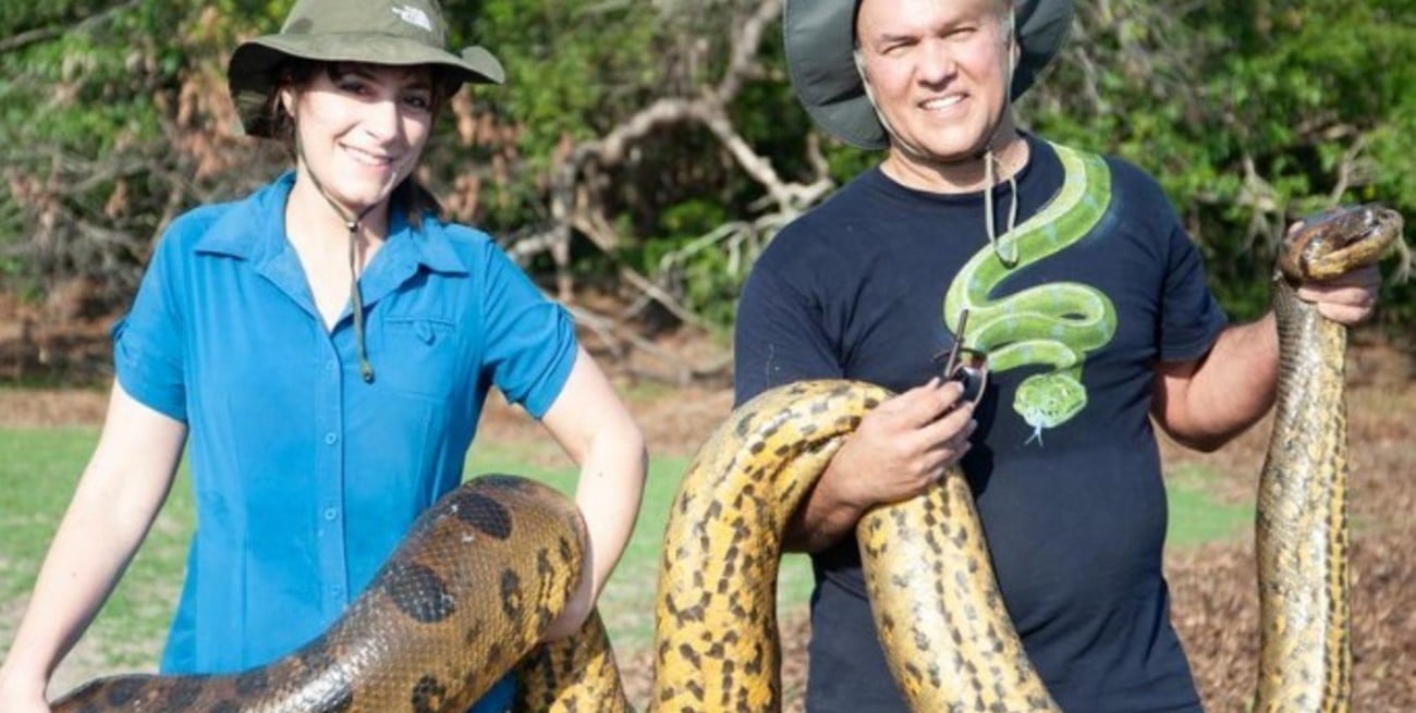 Esta es la nueva serpiente más grande del mundo