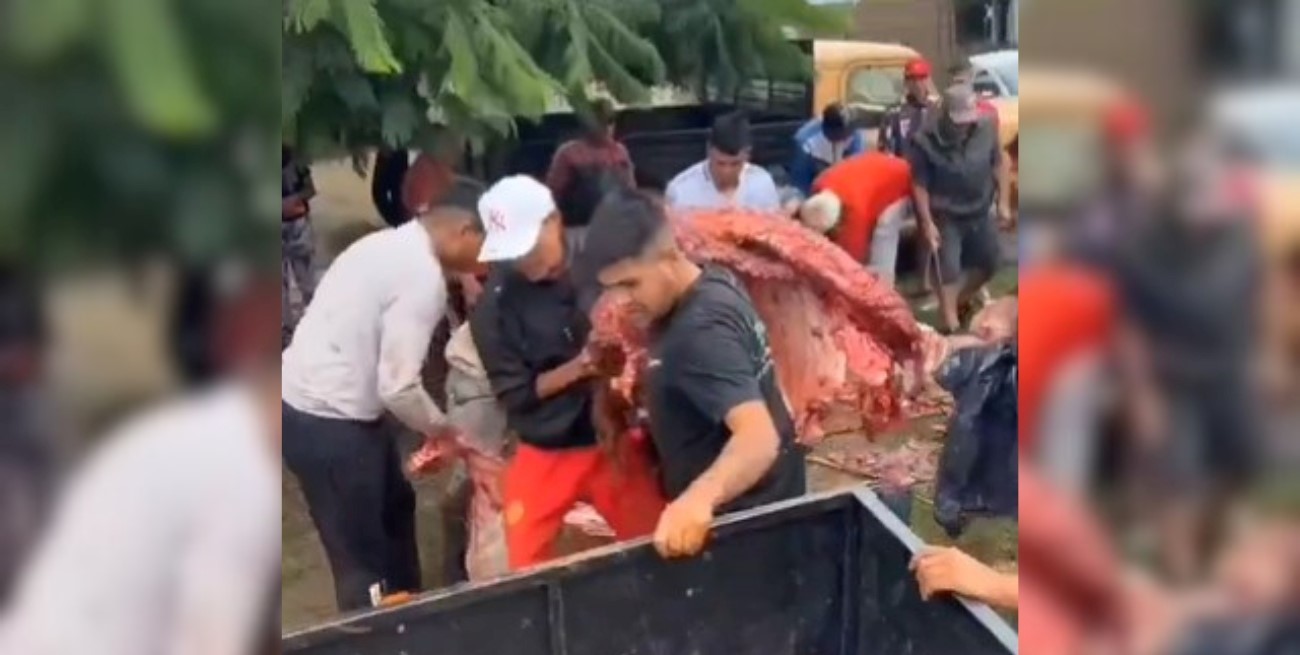 Volcó un camión con vacas en Río Cuarto y los vecinos faenaron a los animales