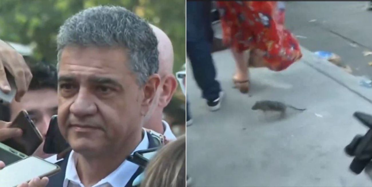 Video: una rata interrumpió la entrevista a Jorge Macri durante un desalojo en Retiro