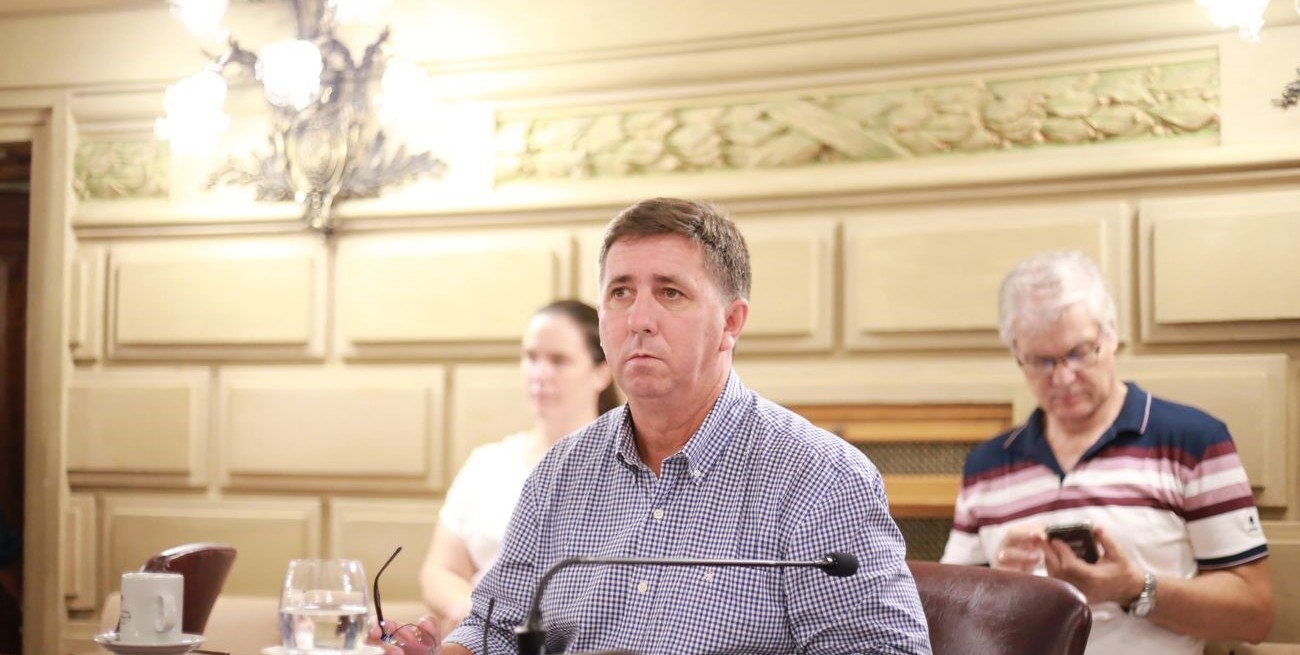 Pirola destaca la labor de la Comisión de Asuntos Constitucionales y Legislación General