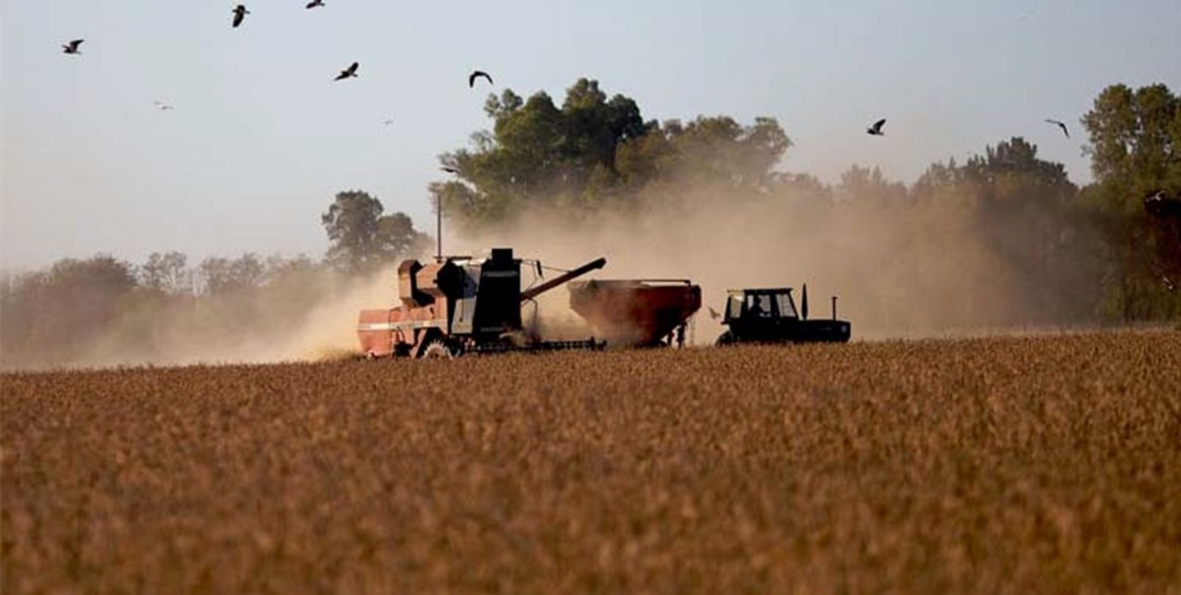 Calor y baja de precios internacionales restaron U$S 4700 millones al valor agregado del agro
