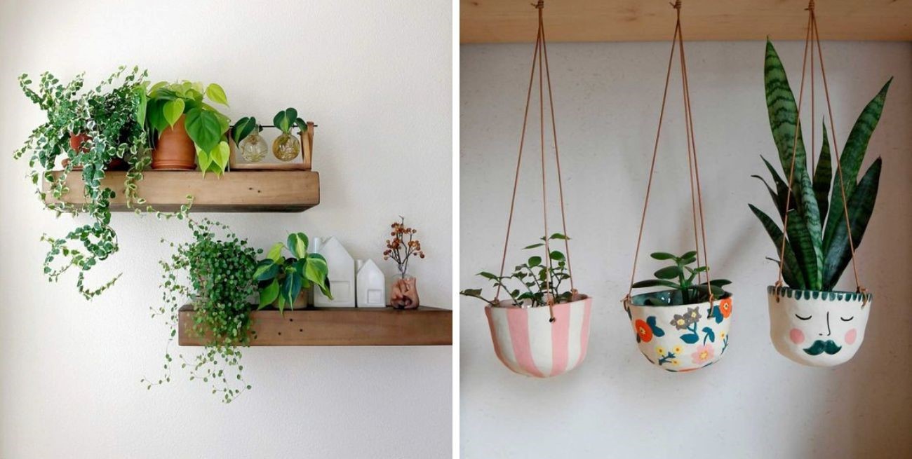 5 ideas para embellecer tus paredes con plantas colgantes
