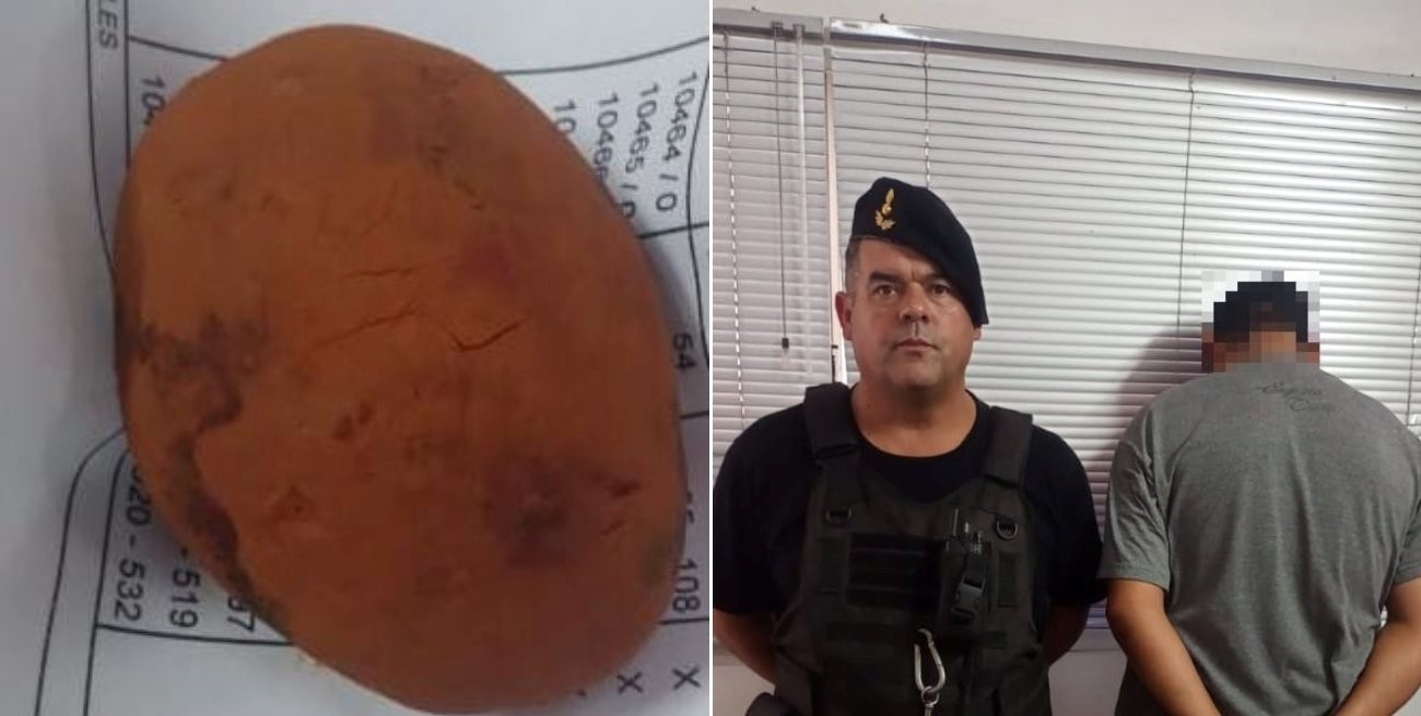 Secuestraron una piedra biliar vacuna valuada en 70 mil dólares: un detenido