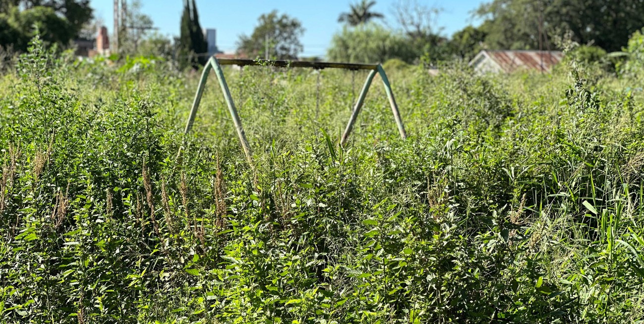 ¿Y los chicos dónde juegan?: una placita tapada de yuyos preocupa a vecinos