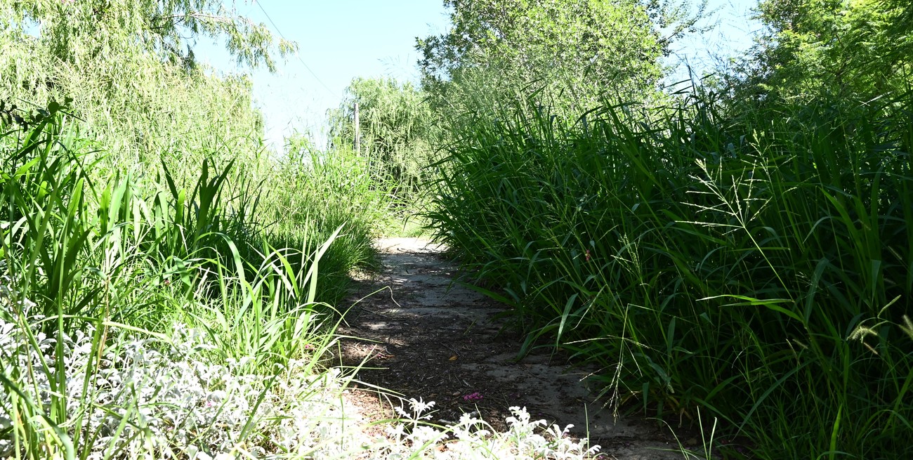 Línea directa y llegan cartas