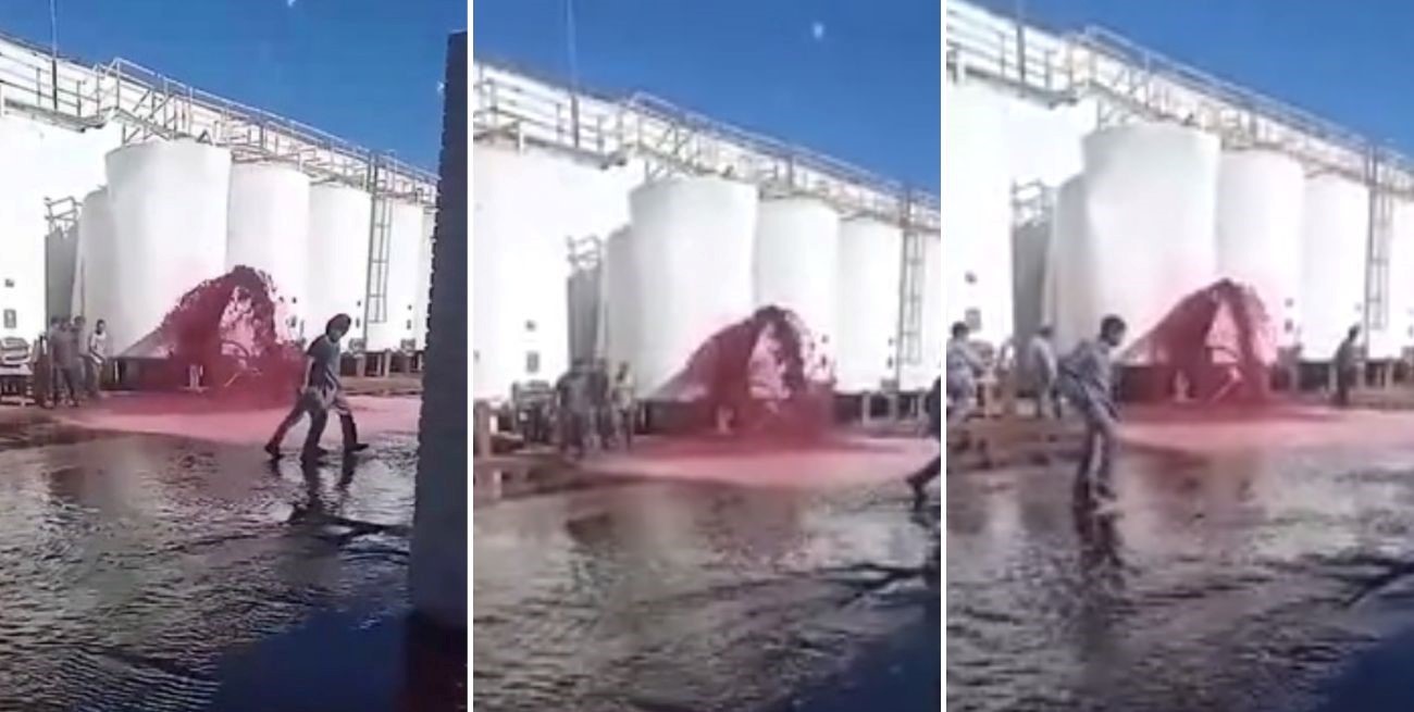 Video: se perdieron 15 mil litros de vinos en una bodega mendocina por una falla