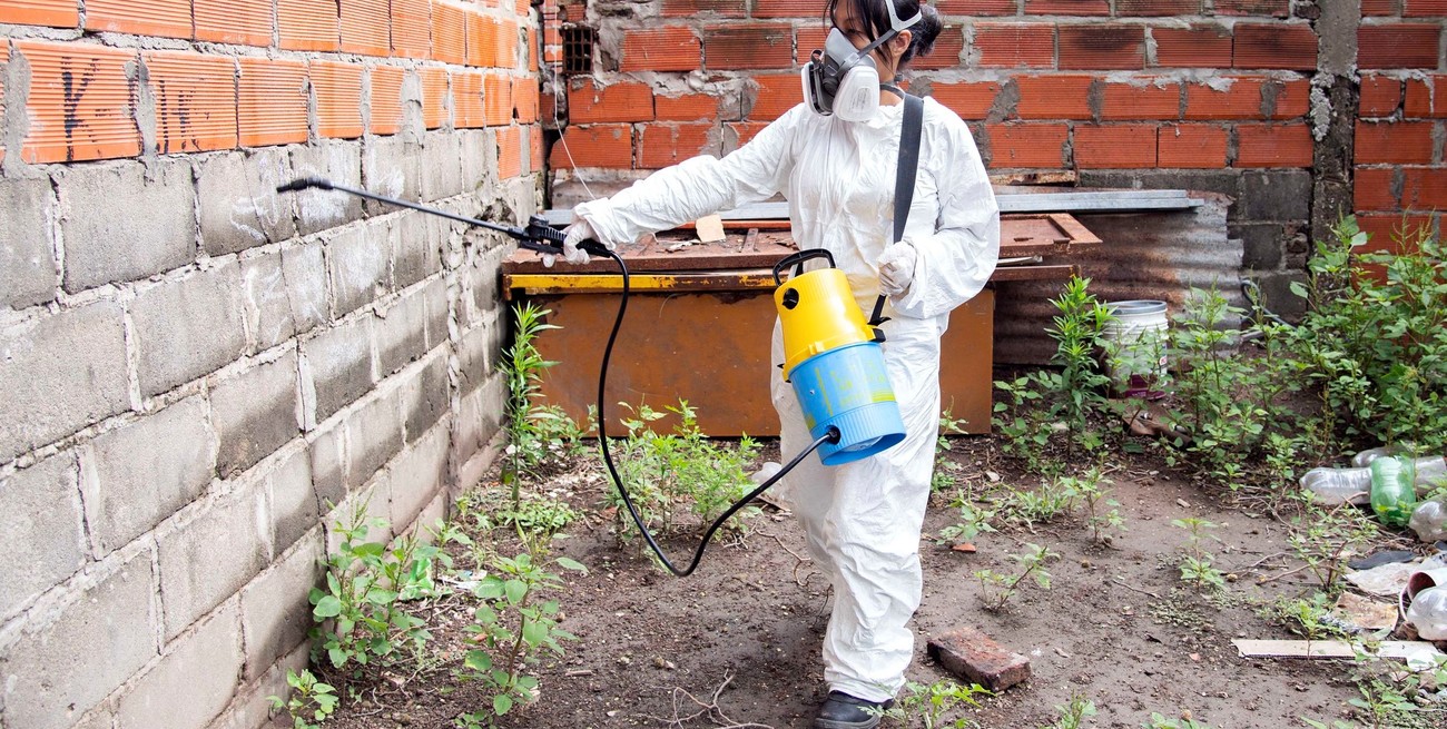 En Santa Fe, confirmaron casi 17 mil casos de dengue y cuatro muertos por esa enfermedad
