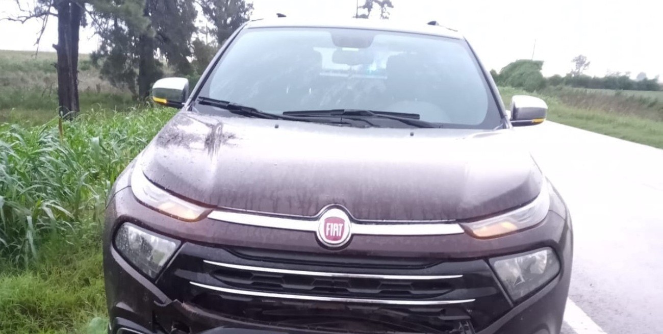 San Genaro: un puma fue embestido por una camioneta en la Ruta 65 