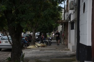 Para entrar a los domicilios, los malvivientes utilizan los árboles, cuyos troncos son bajos y las copas abultadas de hojas. Foto: Guillermo Di Salvatore.