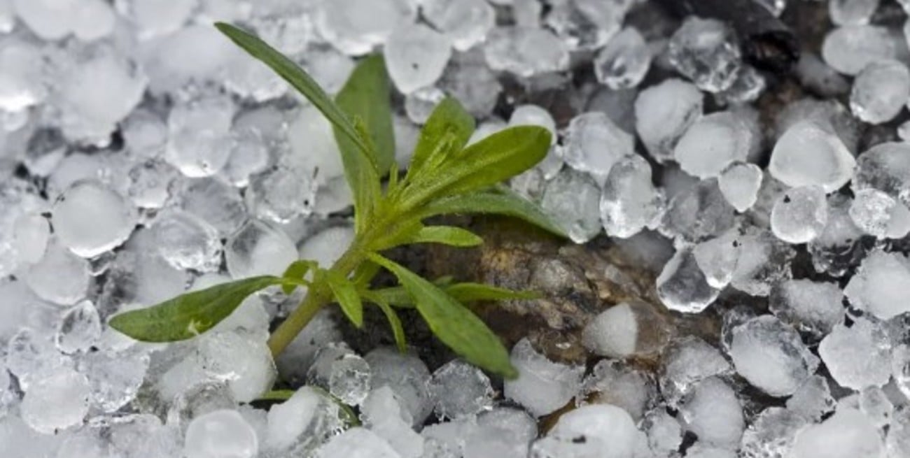 Alerta amarillo por tormentas fuertes en tres provincias de Argentina
